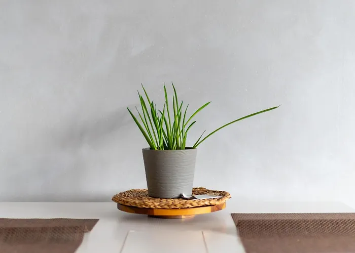 Wyspa Slodowa Serenity By Bookinghost Βρότσλαβ